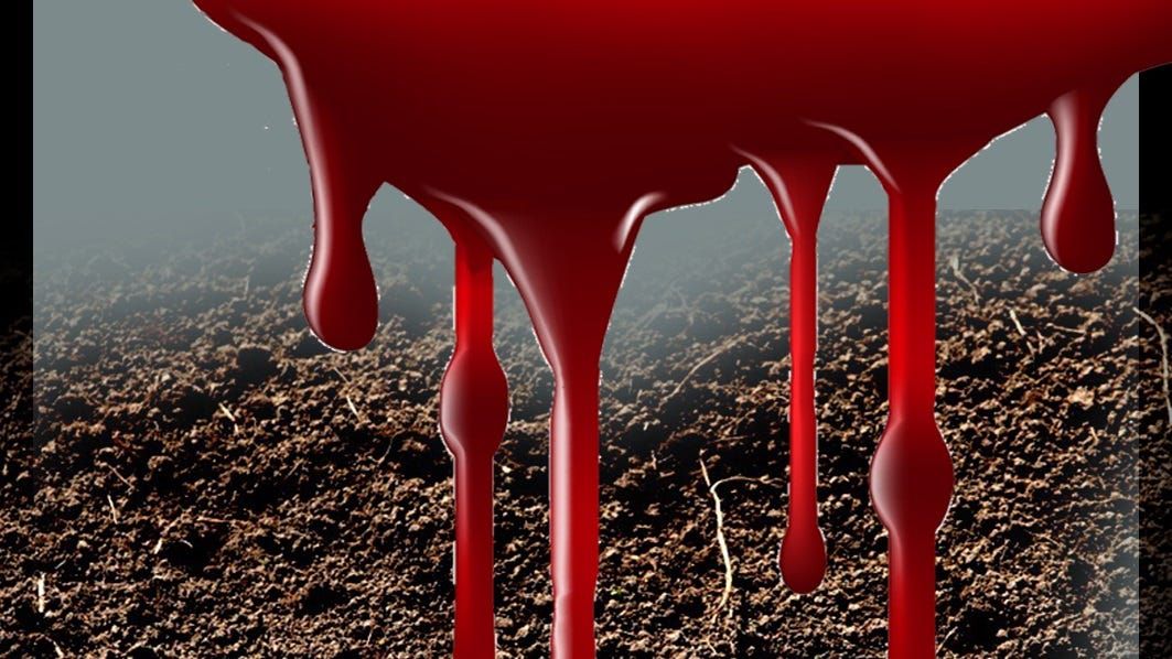 Life Through the Lens: Where blood and dirt meet