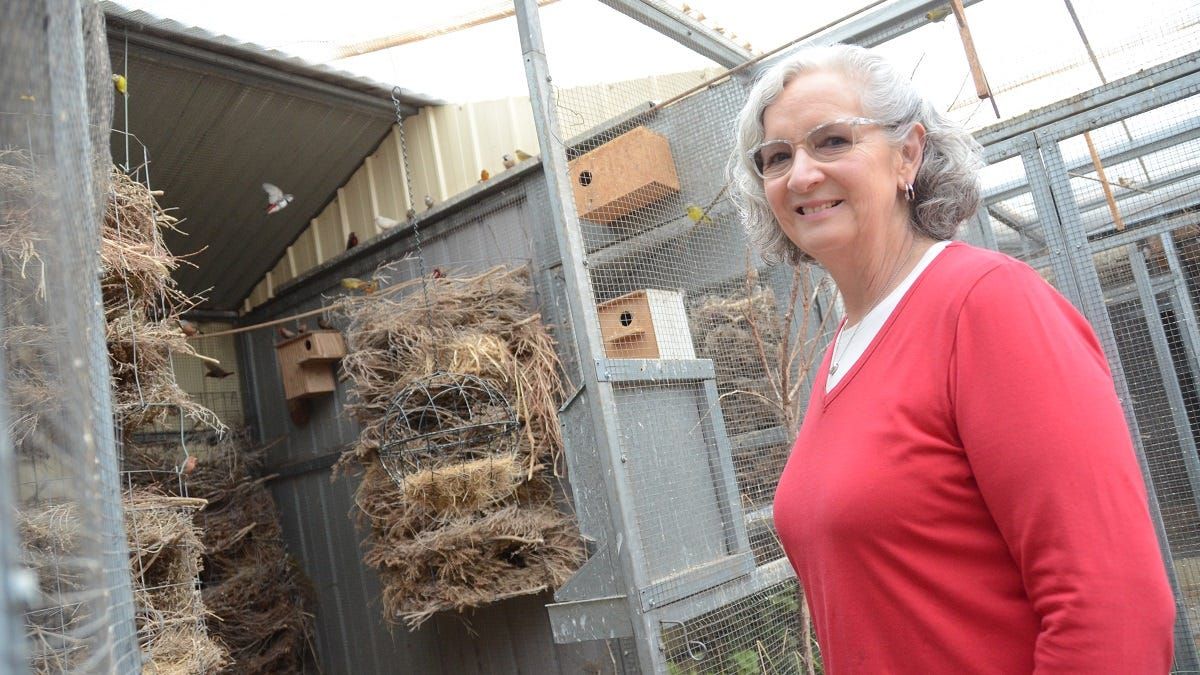 Join in ... with the Lower Murray Bird Club