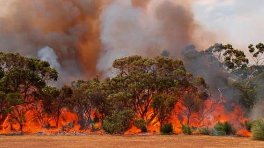 Murray Bridge council watch: January 2021