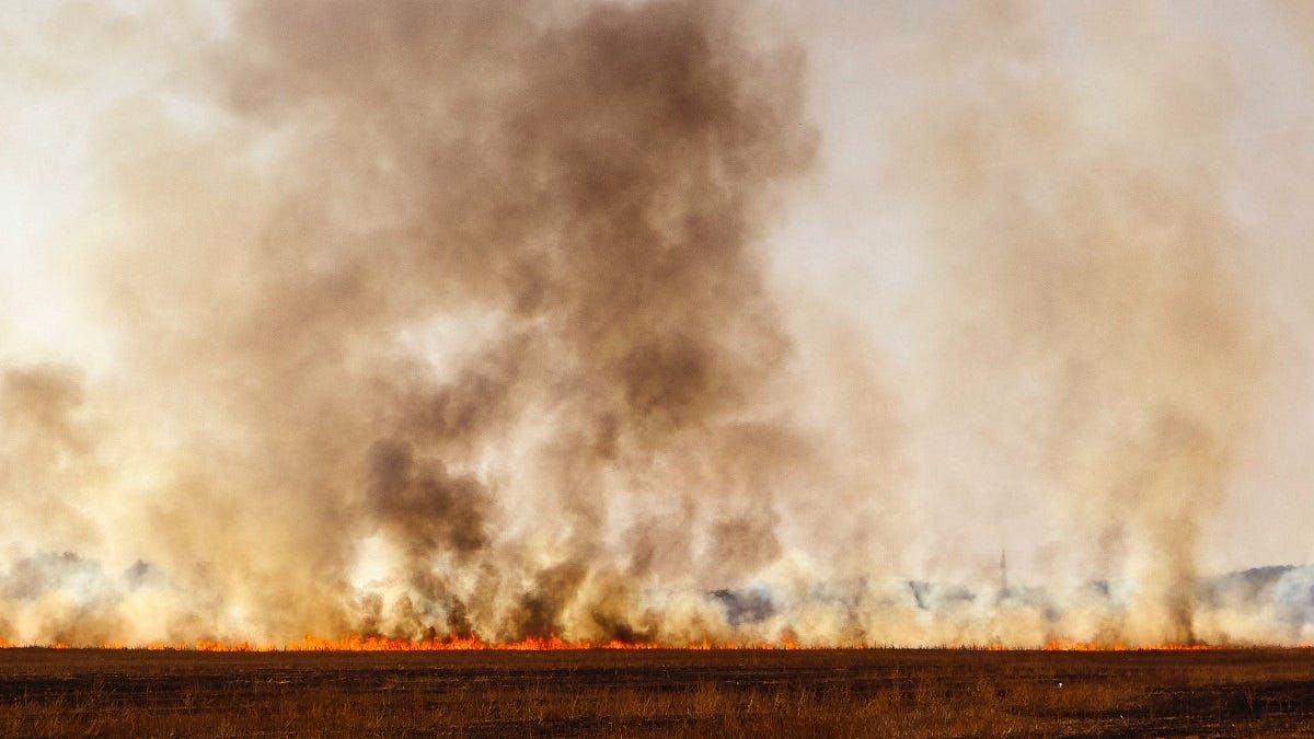 Burdett man reported for burning off during fire danger season