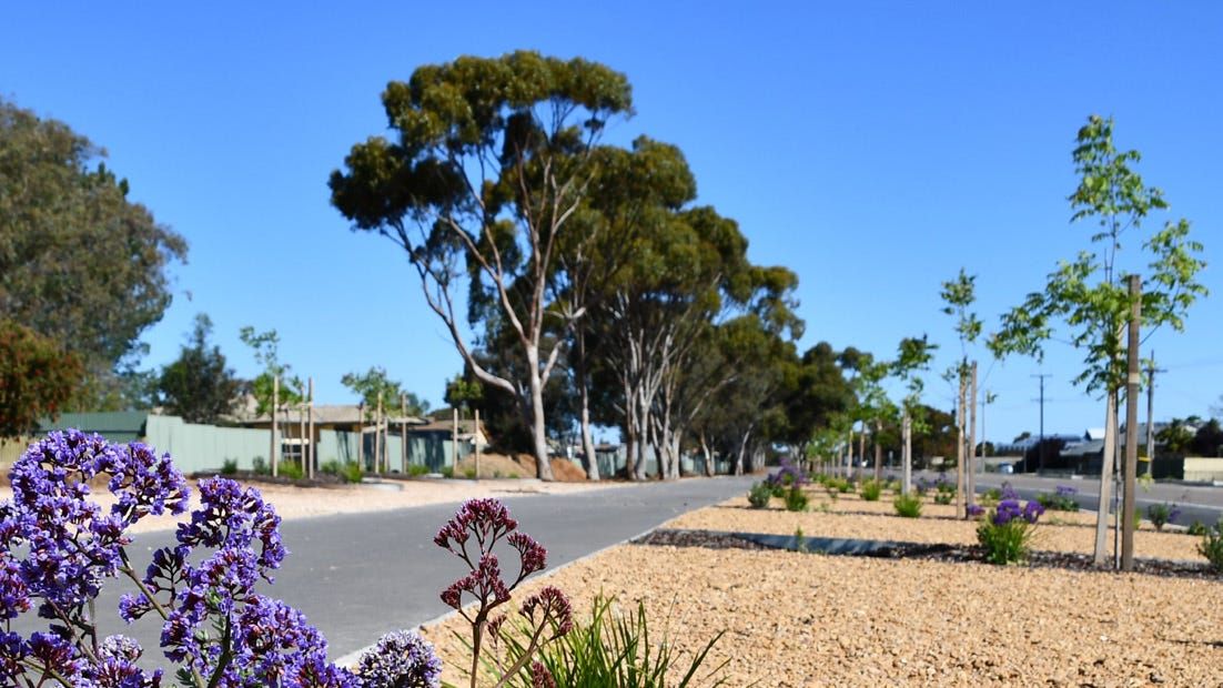 Recycled water project will grow plants along Swanport Road