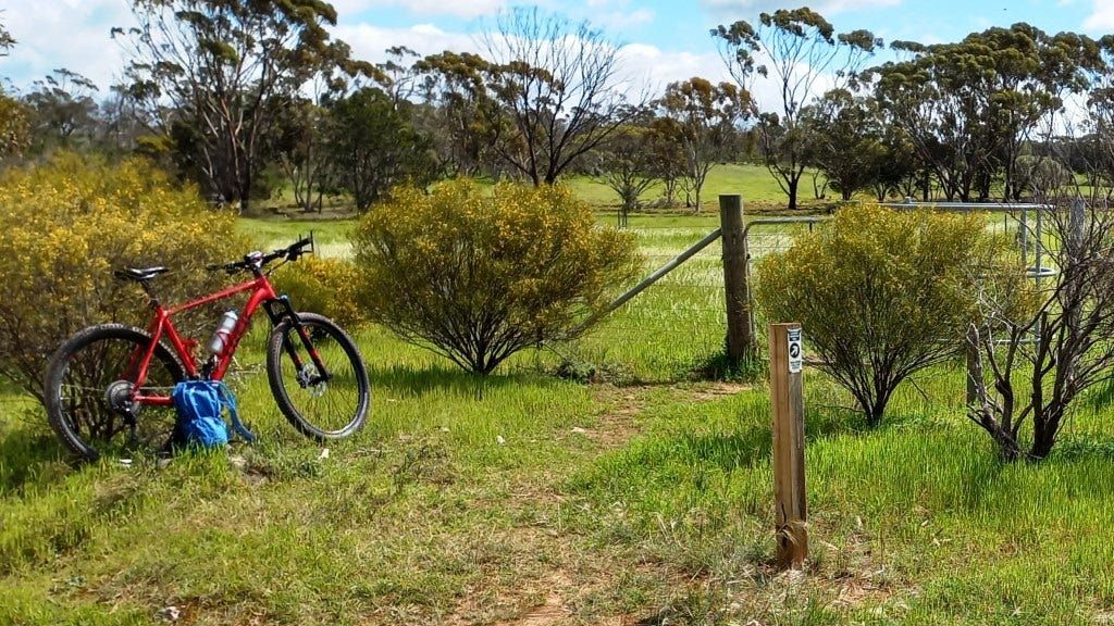 Ride of the Month: Lavender Federation Trail, Monarto