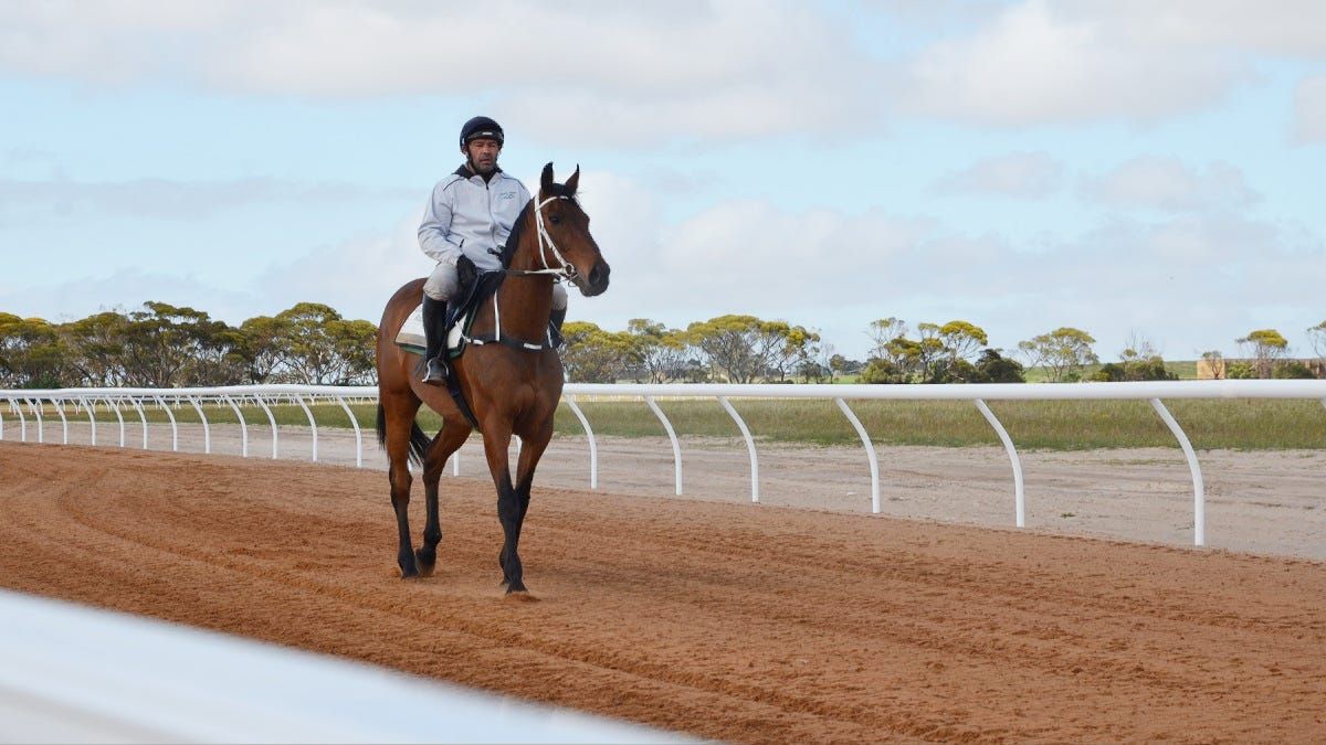 Sports reports: Racing trainer suspended for three months