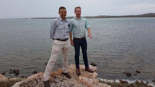 Nick McBride misses out on Liberal leadership