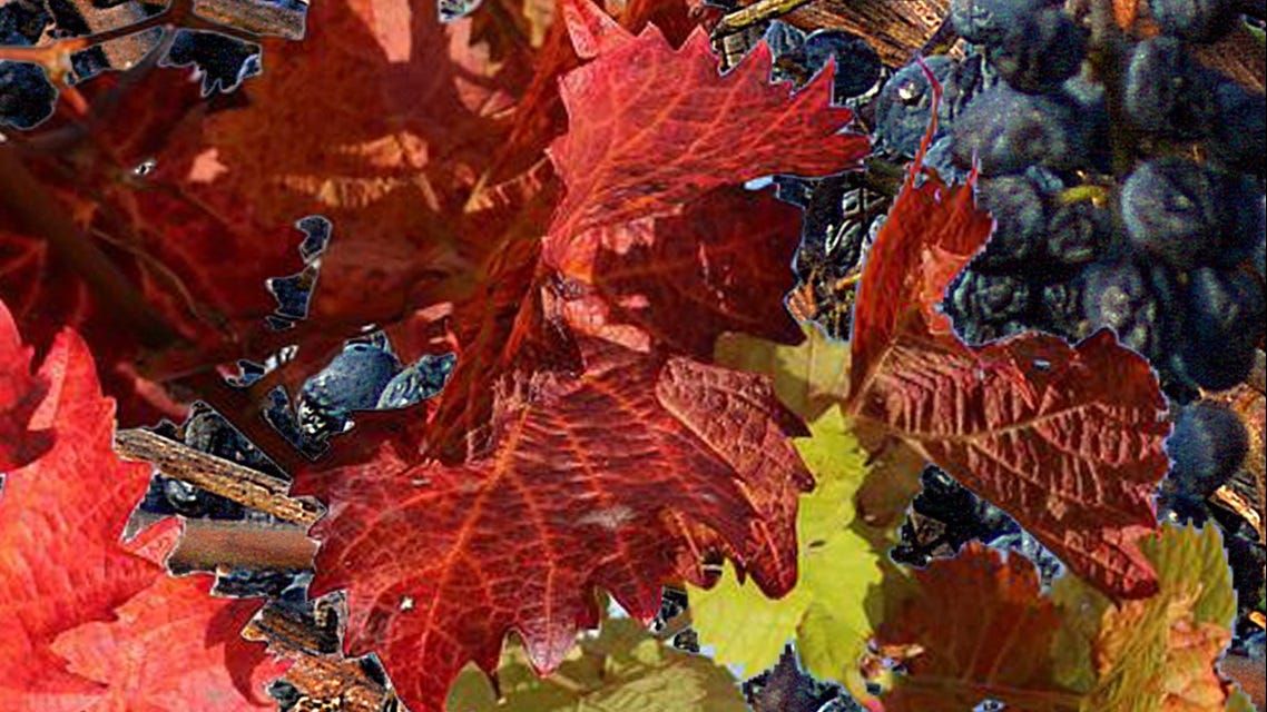 Life Through the Lens: Changing seasons