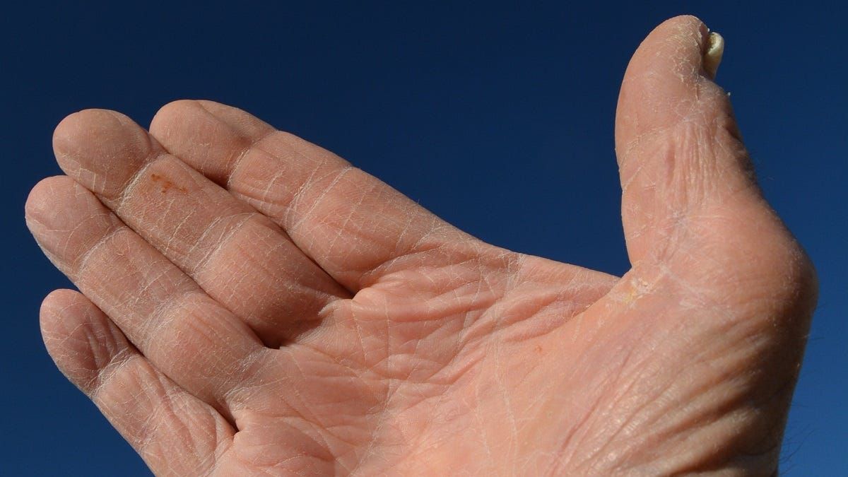 Life Through the Lens: On the other hand...