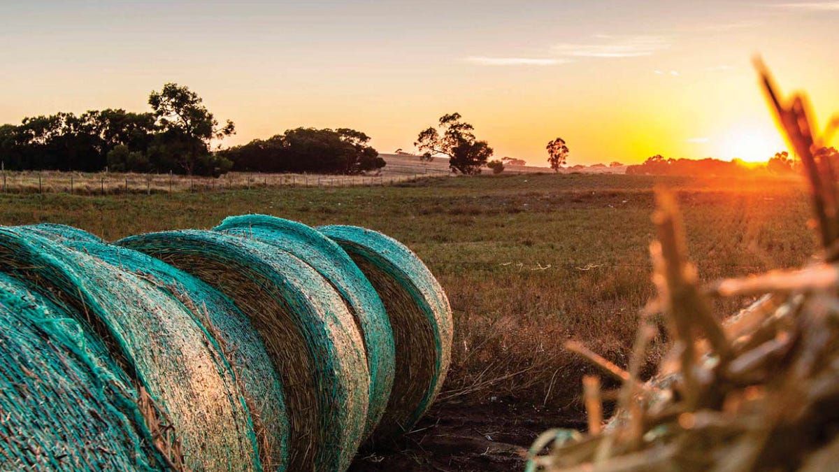 Proud, prosperous and environmentally friendly – that's your vision for the Coorong district