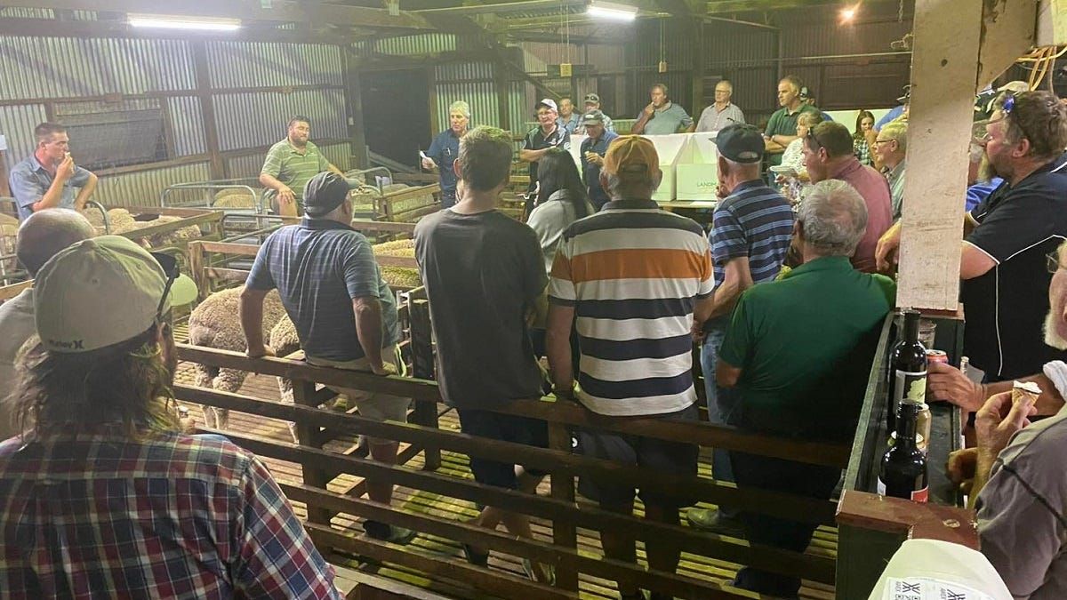 Tech talk – and Colrae Farms – dominate annual hogget competition at Callington