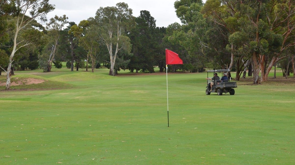 Sports Reports: Golf reports tee off