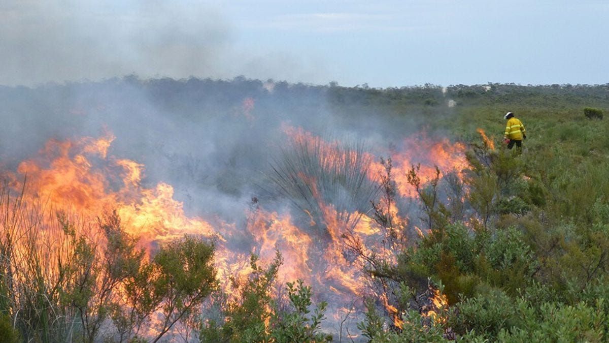 Prescribed burn carried out at Monarto South