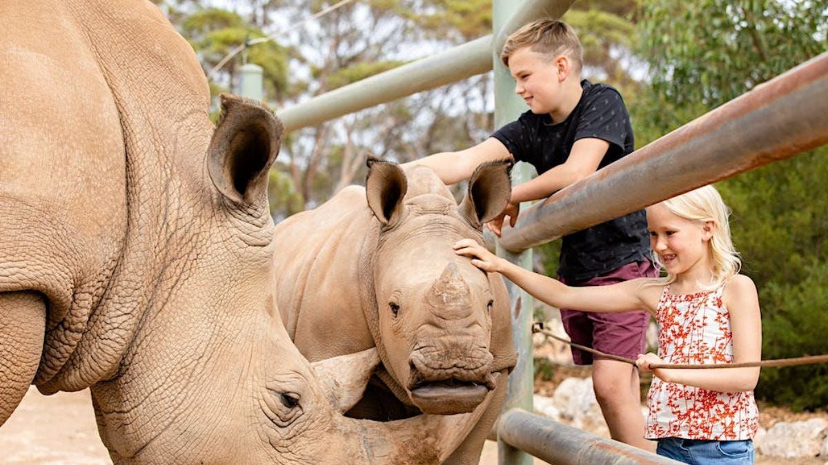 Subscriber giveaway – December 2023