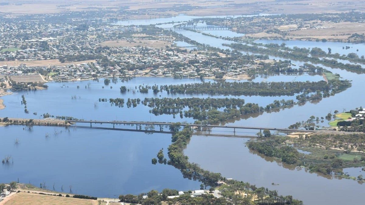 Murray Bridge flood watch 2022-23