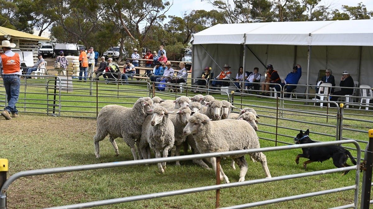 Ever-popular Karoonda Farm Fair and Show returns in 2023