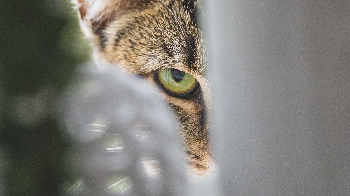 Murray Bridge council watch: September 2023