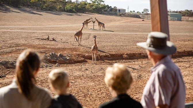 Subscriber giveaway – October 2023