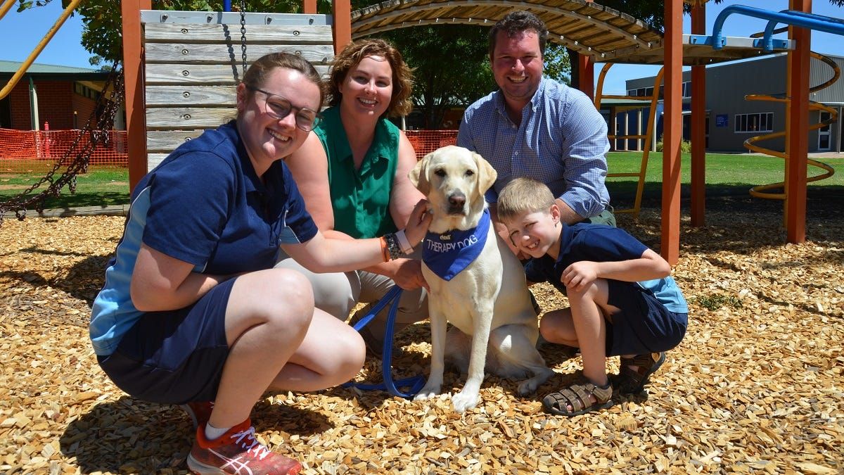 Tyndale Murray Bridge’s new therapy dog Lemmie is no lemon