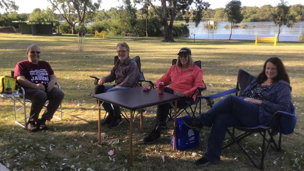Shouty corellas drown out Auto Collectors Club of Murray Bridge’s cruise night 