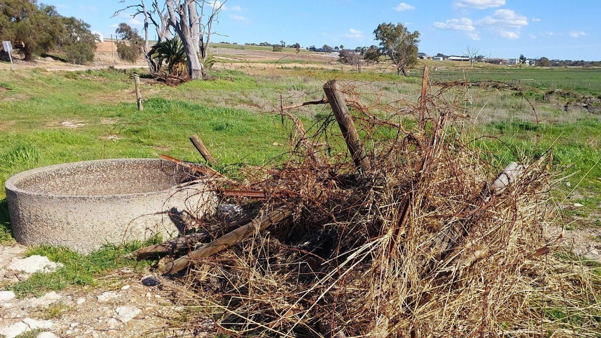 Twelve months on, flood-affected River Murray farmers are still doing it tough