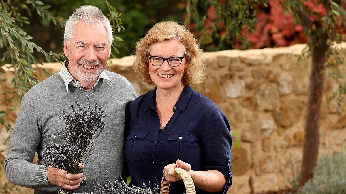 Scents of achievement: How a lavender empire has grown on Murray Bridge’s east side