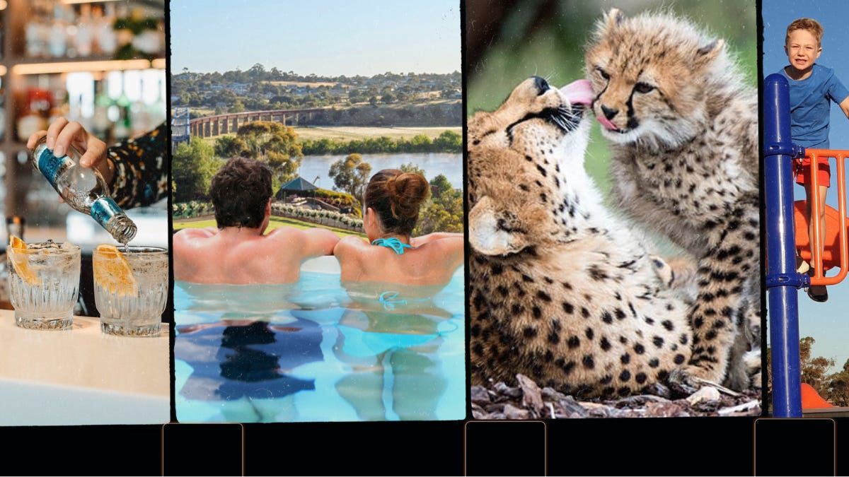 Four Murraylands businesses shortlisted for 2023 SA Tourism Awards