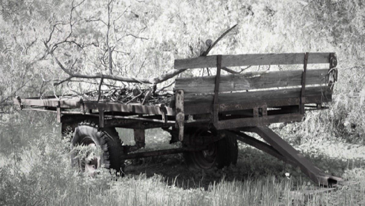 Winners of Mypo photography competition announced