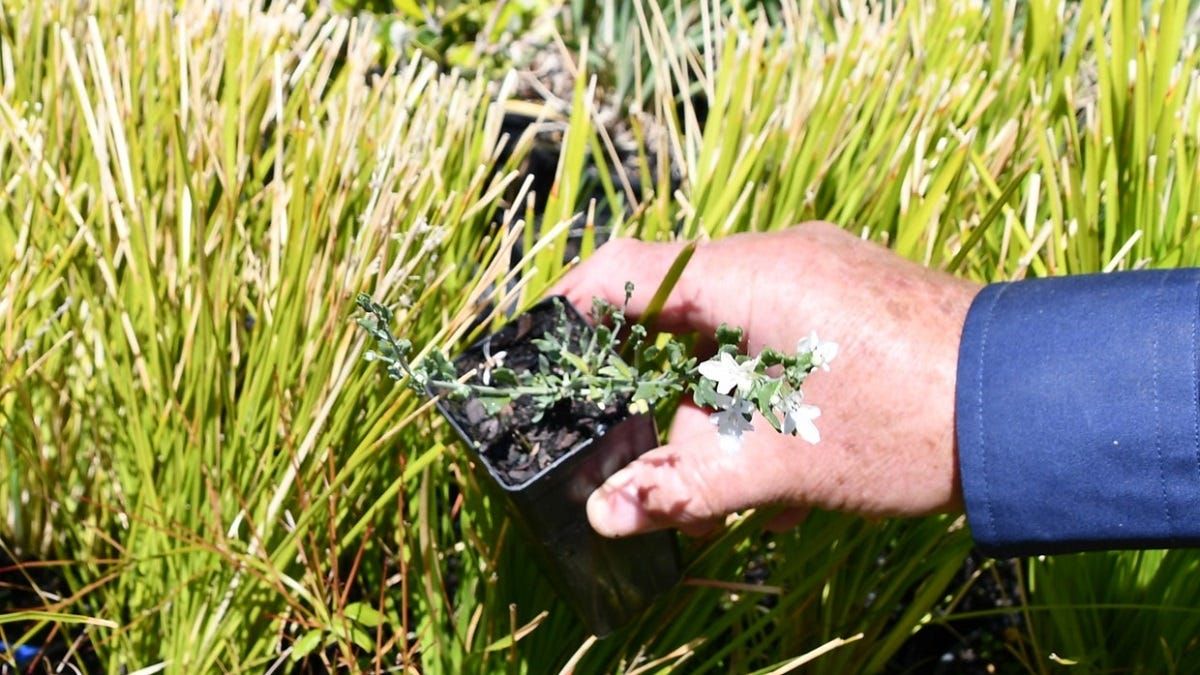 Things to do in Murray Bridge: May 12–18, 2023