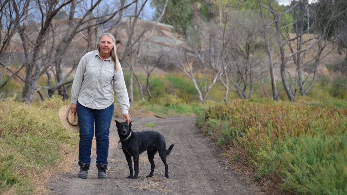 We’re not ready for another flood, Lower Murray irrigators warn