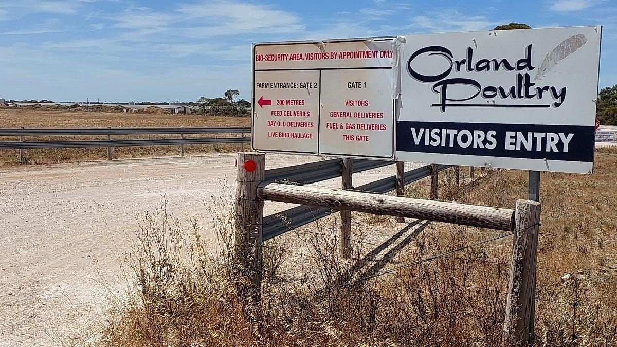 Ride of the Month: Old Princes Highway to Granites Road, Kepa