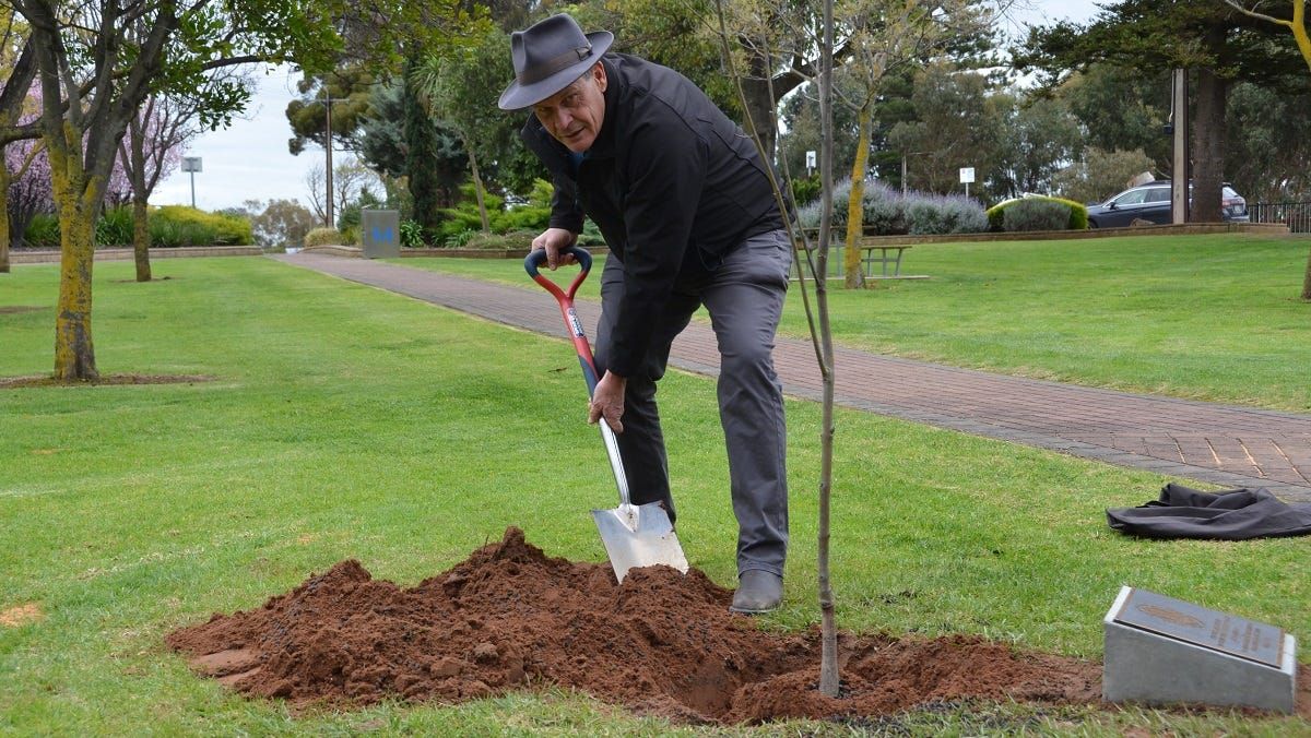 King Charles III gets his own tree at Diamond Park