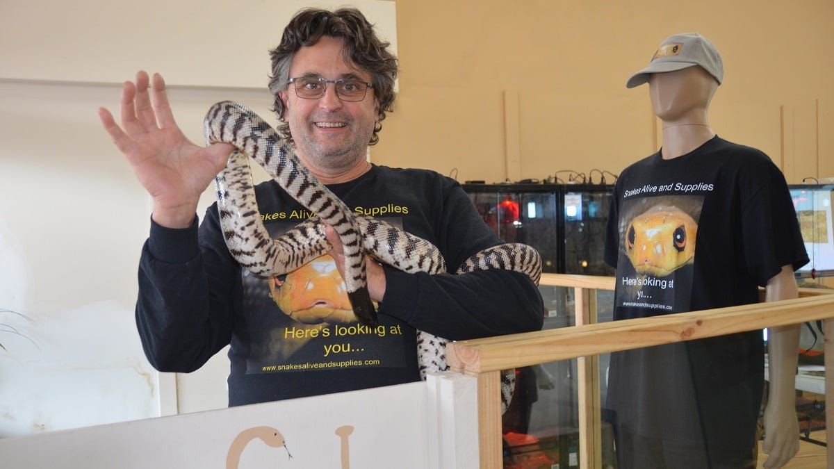 Behind this Murray Bridge shopfront is SA’s biggest collection of venomous snakes
