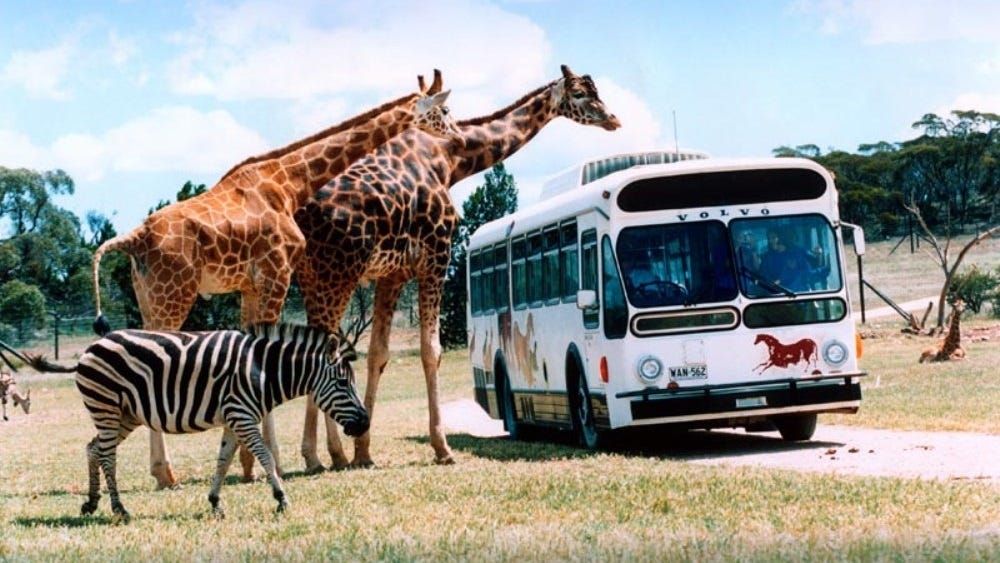 Things to do in Murray Bridge: October 20–26, 2023