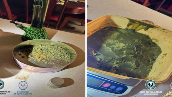 Cannabis trafficker arrested in Murray Bridge