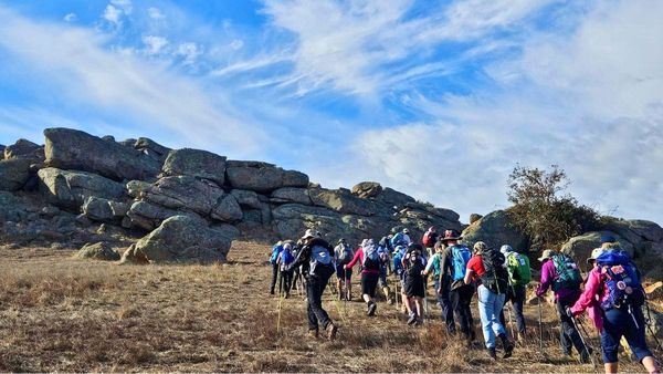 Murray Bridge to Clare on the Lavender Federation Trail