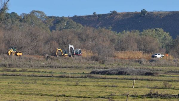 Levee remediation works begin along the Lower Murray