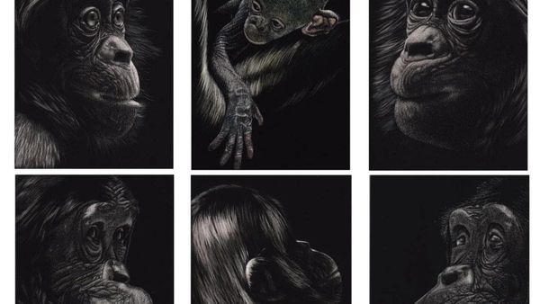 Your guide to the 2024 South Australian Living Artists Festival in the Murraylands