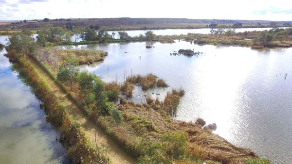 Murray Bridge council watch: Riverglades wetland handover completed