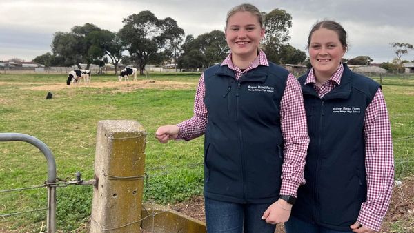 High school students host successful farm day fundraiser