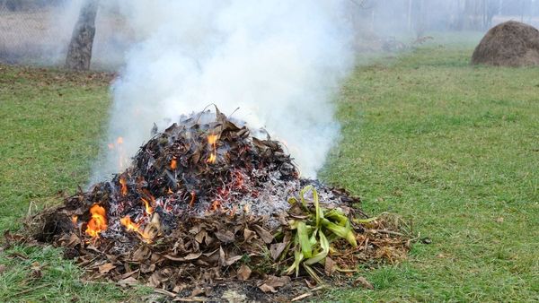 Domestic burning permits to be phased out from 2025
