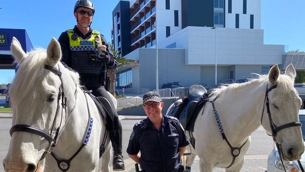 Meet SA Police’s mounted officers at Coffee with a Cop