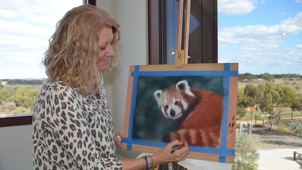 Monarto Safari Park art exhibition highlights animal conservation issues