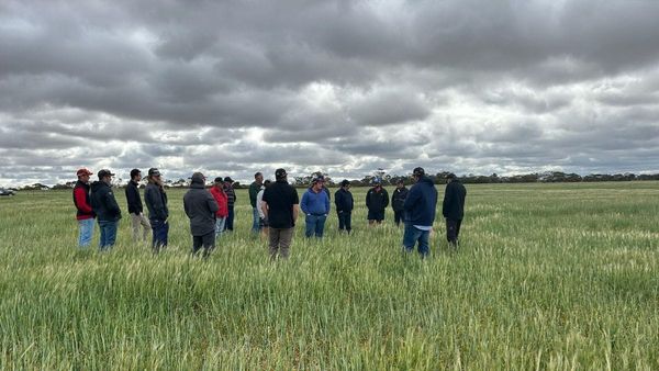 Murraylands farmers face tough season amid 2024 drought conditions