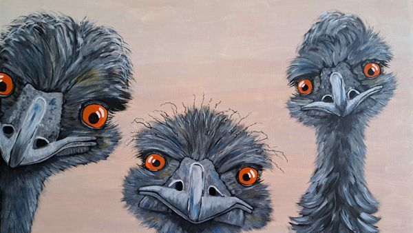 Bridge Arts exhibition ‘Summer Sensations’ opens at regional gallery