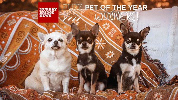 Pet of the Year 2024 winners announced
