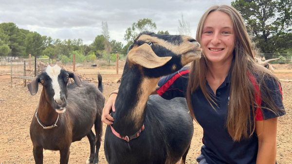 Young Tailem Bend woman is rising into agriculture leadership