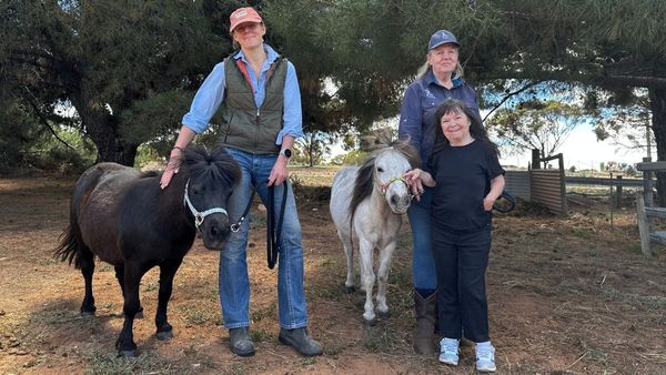 iReach offers equine therapy at Murray Bridge Riding Club