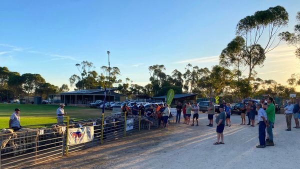 Monarto Ag Bureau brings sheep producers together amid a challenging season