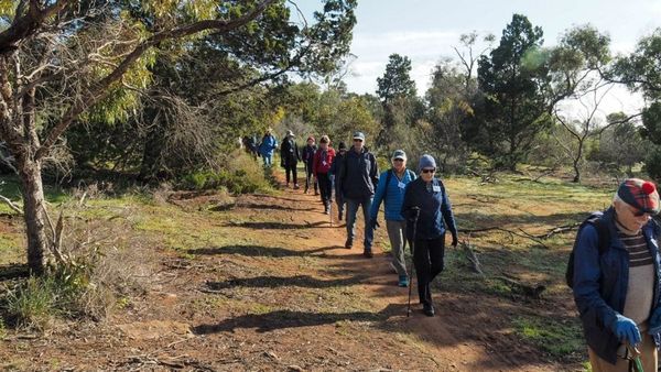 South Australians encouraged to visit parks across the Murraylands