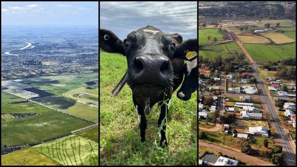 Voting opens for SA’s 2025 agricultural town of the year