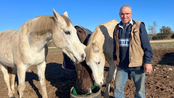 Ag teacher retires after nearly 40 years at one Murraylands school
