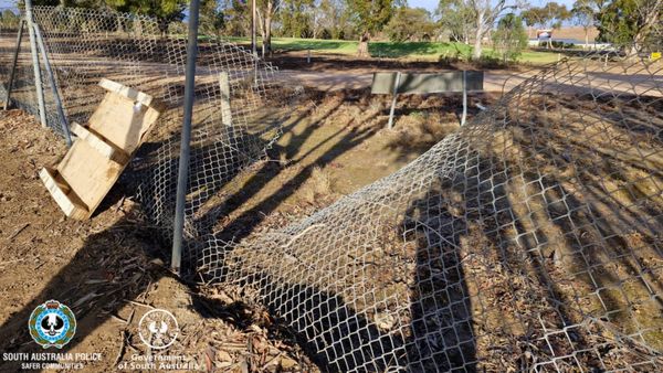 Mannum oval thieves caught